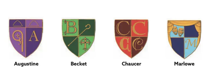  OptimizedImage,Optimized