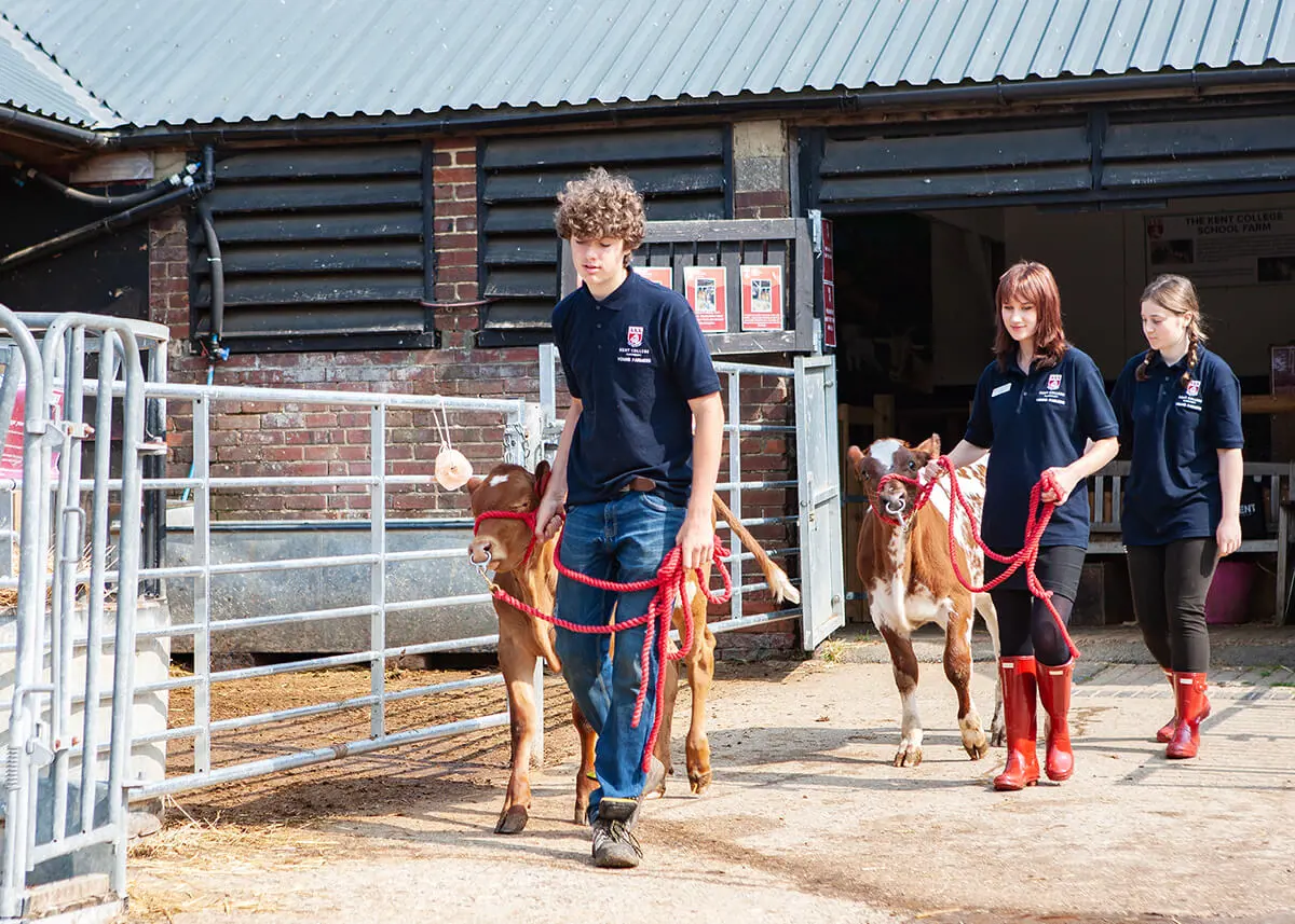 The Farm is one of the most prized assets at Kent College Canterbury