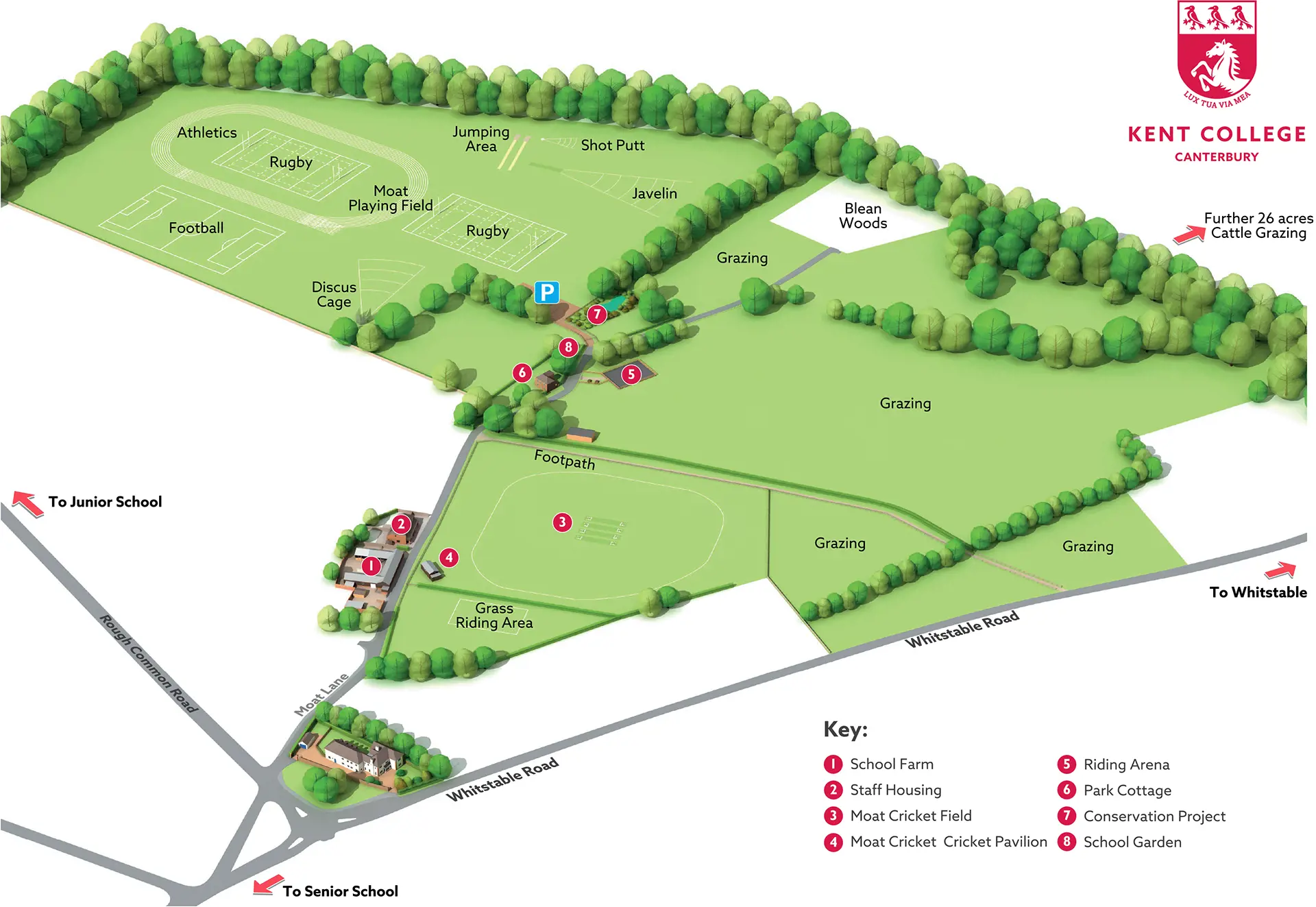  OptimizedImage,Optimized