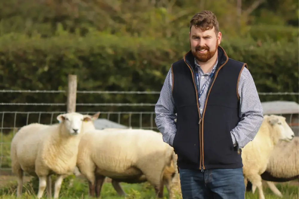 OptimizedImage,Optimized