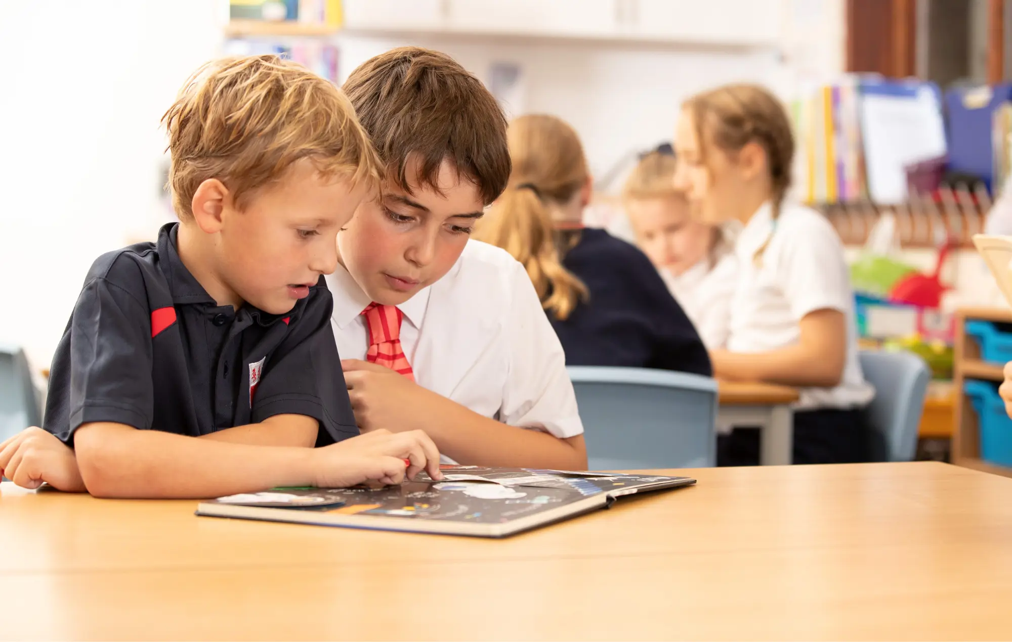 OptimizedImage,Optimized