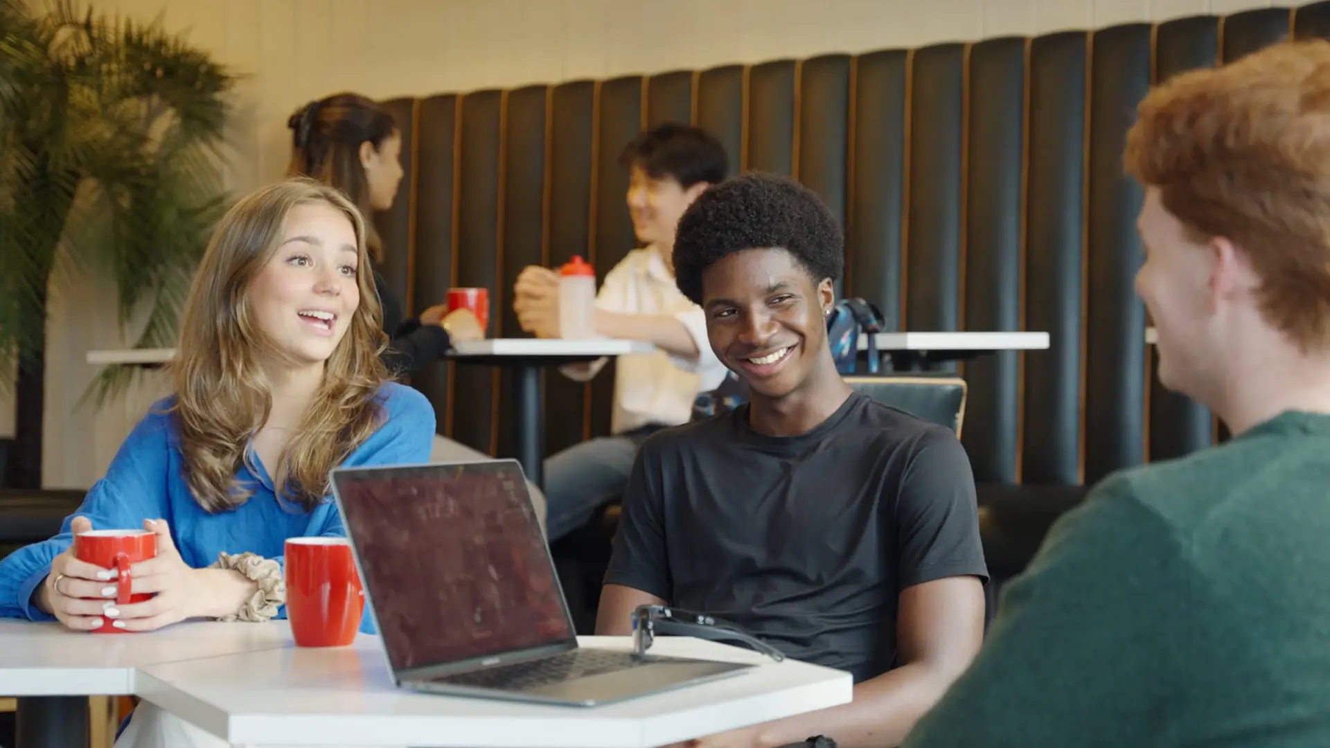 OptimizedImage,Optimized