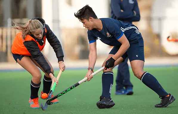  OptimizedImage,Optimized